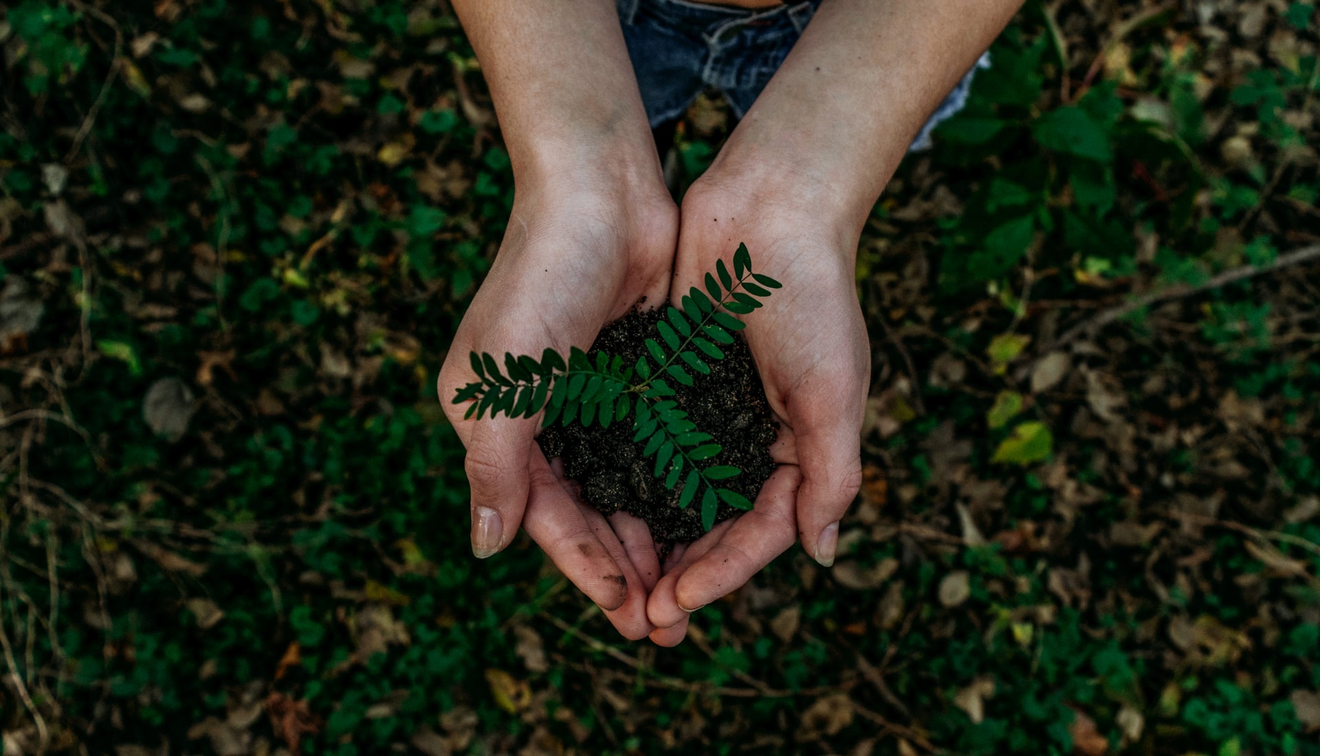 noah-buscher-x8ZStukS2PM-unsplash noah-buscher-x8ZStukS2PM-unsplash