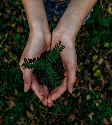 noah-buscher-x8ZStukS2PM-unsplash noah-buscher-x8ZStukS2PM-unsplash