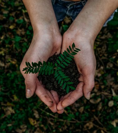 noah-buscher-x8ZStukS2PM-unsplash noah-buscher-x8ZStukS2PM-unsplash